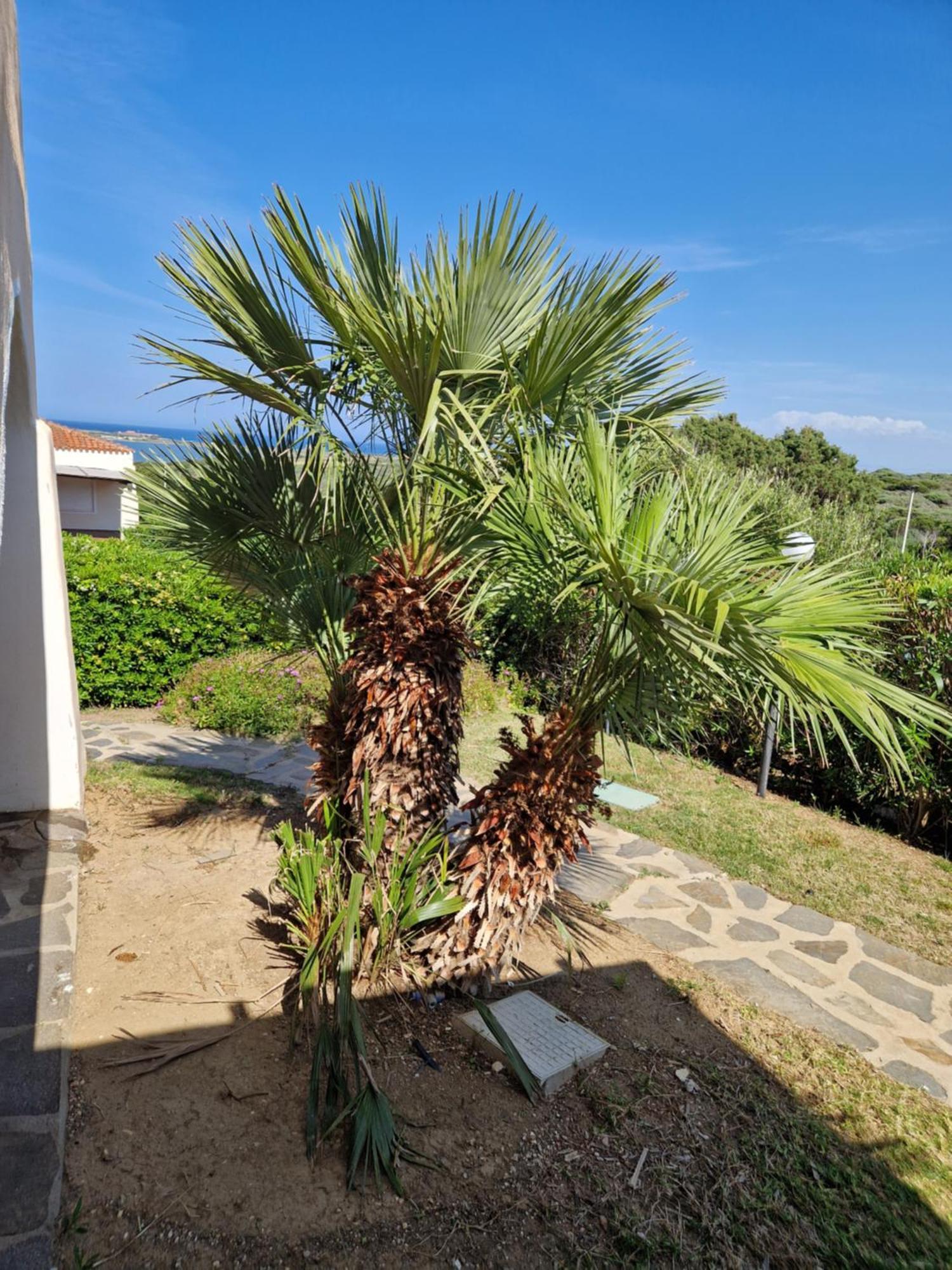 Villa Iris Stintino Esterno foto